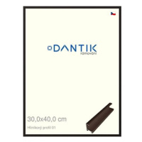 DANTIK rámeček 30 × 40, ALU profil 7001 Hnědý matný plexi čiré