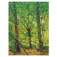 Obrazová reprodukce Trees & Underwood, Vincent van Gogh, 30 × 40 cm