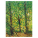 Obrazová reprodukce Trees & Underwood (Vintage Landscape)  - Vincent van Gogh, 30x40 cm