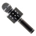 Karaoke mikrofon Eljet Globe Black