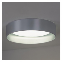 - LED Stropní svítidlo ROLLER LED/24W/230V stříbrná