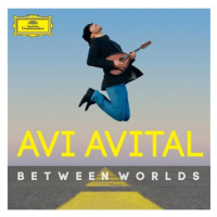 Avital Avi: Between Worlds