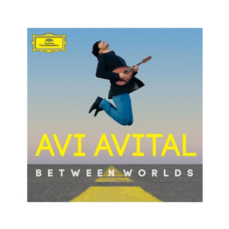 Avital Avi: Between Worlds