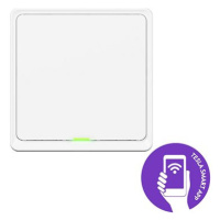 Tesla Smart Switch ZigBee