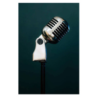 Ilustrace Professional microphone on a black background., Maryna Terletska, 26.7 × 40 cm