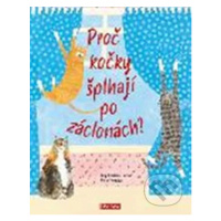 Proč kočky šplhají po záclonách? (Vše o kočkách) - Nick Crumpton, Lily Snowden-Fine - kniha z ka