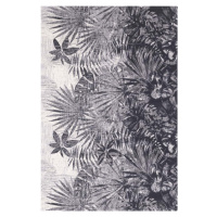 Šedý vlněný koberec 200x300 cm Tropic – Agnella
