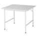 RAU Pracovní stůl s ESD deskou, výška 800 - 850 mm, nohy podstavce š x h 30 x 30 mm, š x h 1000 