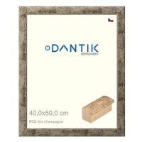 DANTIK rámeček 40 × 50, BOX film champagne plexi čiré