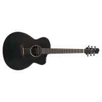 Ibanez JGM5-BSN