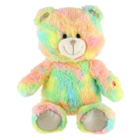 Dětský plyšový medvídek TEDDIES duhový 40cm