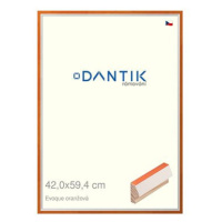 DANTIK rámeček 42 × 59,4, EVOQUE oranžový plexi čiré