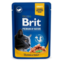 Brit Premium by Nature Cat Pouch with Salmon & Trout 6 × 100 g