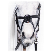 Mexické brýle Realistický hobby horse Realistický