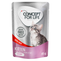 Výhodné balení Concept for Life bez obilovin 24 x 85 g - Kitten hovězí - v omáčce