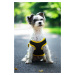 Vsepropejska Lolita tričko s nápisem security pro psa Barva: Žlutá, Délka zad (cm): 23, Obvod hr