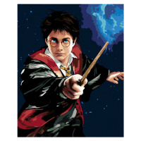Zuty Malování podle čísel Harry Potter a hůlka