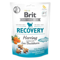 BRIT Care Dog Functional Snack Recovery Herring 150 g