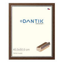 DANTIK rámeček 40 × 50, TAIGA hnědý plexi čiré