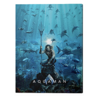 Obraz na plátně Aquaman - Teaser, 2 cm - 60x80 cm