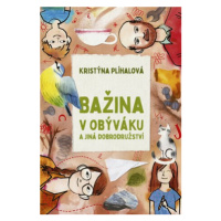 Bažina v obýváku a jiná dobrodružství - Kristýna Plíhalová