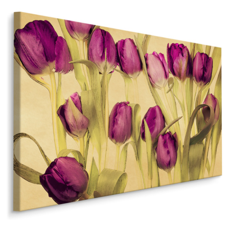 Plátno Tulipány V Retro Stylu Varianta: 30x20