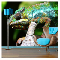 Sablio Tapeta Chameleon - 125x75 cm