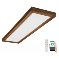 Brilagi Brilagi-LED Stmívatelné svítidlo WOODY FRAME LED/50W/230V dub 120x30 cm IP44 +DO