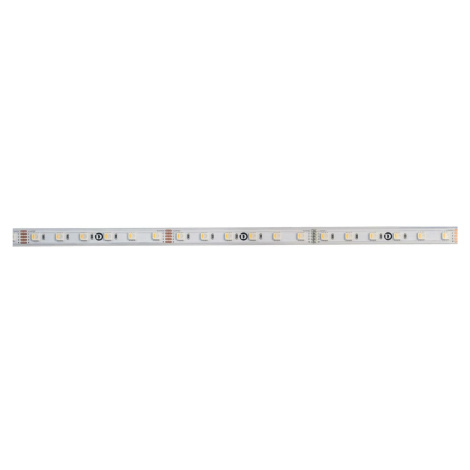 Light Impressions Deko-Light flexibilní LED pásek 5050-60-24V-RGB+3000K-5m-Silikon 24V DC 65,00 