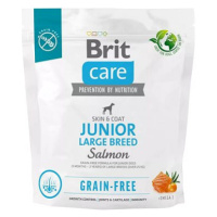 Brit Care Dog Grain-free s lososem Junior Large Breed 1 kg