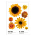 F 0408 AG Design Samolepicí dekorace - samolepka na zeď - Sunflower big, velikost 65 cm x 85 cm