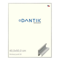 DANTIK rámeček 40 × 50, ALU profil 6030 Dýha barevný šedý světlý sklo čiré