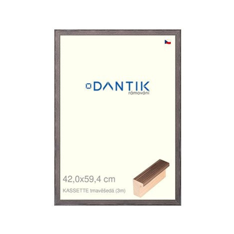 DANTIK rámeček 42 × 59,4, KASSETTE tmavěšedý plexi čiré