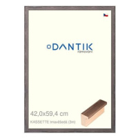 DANTIK rámeček 42 × 59,4, KASSETTE tmavěšedý plexi čiré