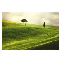 Fotografie Landscape in Tuscany, Peter Zelei Images, 40 × 26.7 cm