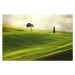 Fotografie Landscape in Tuscany, Peter Zelei Images, 40 × 26.7 cm