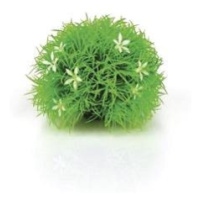 biOrb Topiary ball with daisies