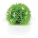 biOrb Topiary ball with daisies