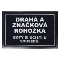 Drahá a značková rohožka 40x60 cm - na ven i na doma