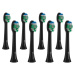 TrueLife SonicBrush Compact Heads Black Standard 8 Pack