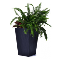 KETER Květináč Rattan Planter M Dark grey