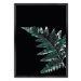 Dekoria Plakát Dark Fern Leaf, 21 x  30 cm, Volba rámku: Černý
