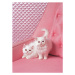 Fotografie White Persian cats on pink sofa, John Eder, 30 × 40 cm