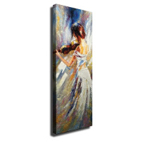 Nástěnný obraz na plátně Violin Player, 30 x 80 cm