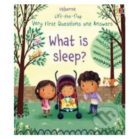 What is Sleep? - Katie Daynes, Marta Alvarez Miguens (ilustrácie) - kniha z kategorie Naučné kni