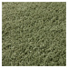 Flair Rugs koberce Kusový koberec Shaggy Teddy Olive Rozměry koberců: 120x170