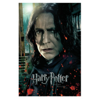 Umělecký tisk Harry Potter - Severus Snape, 26.7 × 40 cm