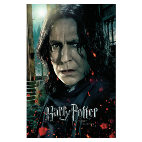 Plakát, Obraz - Harry Potter - Severus Snape, 26.7 × 40 cm Europosters