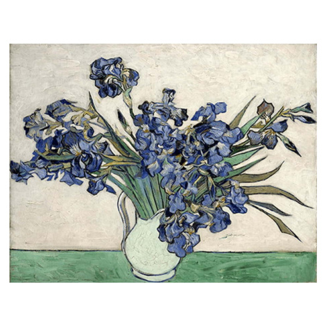 Reprodukce obrazu Vincenta van Gogha - Irises 2, 40 x 26 cm Fedkolor