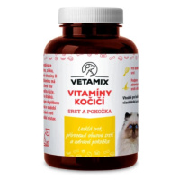 Vetamix vitamíny - kočičí srst a pokožka 100 g